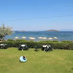 Ege & Ayvalı