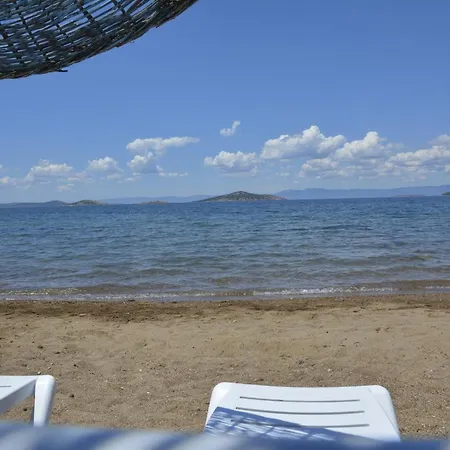 Ege & Guest house