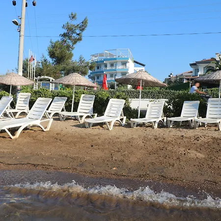 Ege & Ayvalı