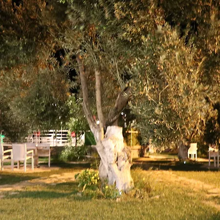 Casa de hóspedes Ege & 4*