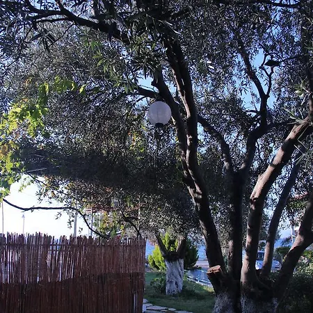 Casa de hóspedes Ege & 4*