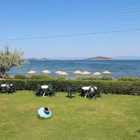 Ege & Ayvalik