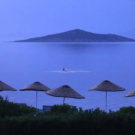 Ege & Ayvalı
