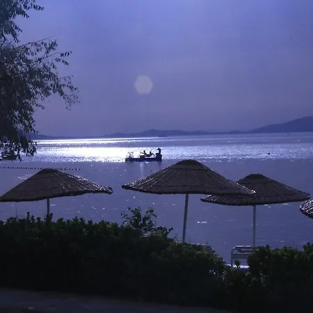 Ege &